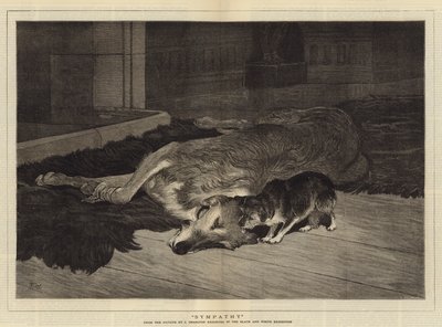Współczucie autorstwa John Charlton